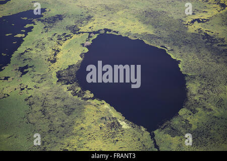 Luftaufnahme des Pantanal im Zuge des Río Paraguay Stockfoto