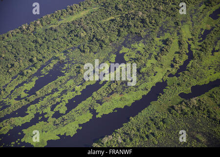 Luftaufnahme des Pantanal im Zuge des Río Paraguay Stockfoto