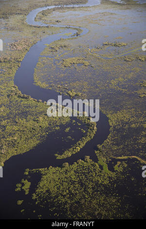 Luftaufnahme des Pantanal im Zuge des Río Paraguay Stockfoto