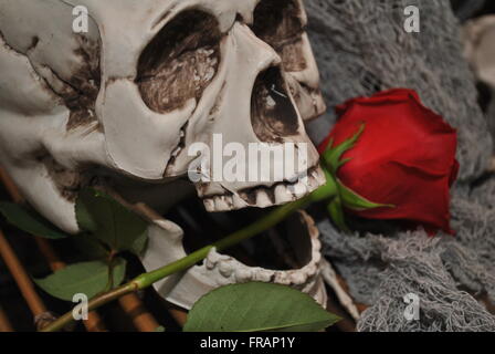 Nahaufnahme eines Schädels mit einer roten Rose im Maul Stockfoto
