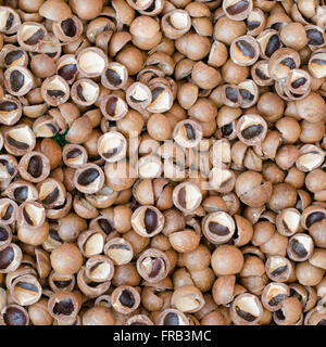 Macadamia-Nuss harte Schale backgroundcore Stockfoto