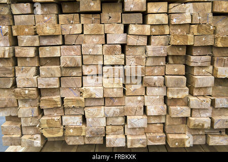 Verarbeitende Industrie Holz extrahiert vom Baum gepflanzt Teak Stockfoto