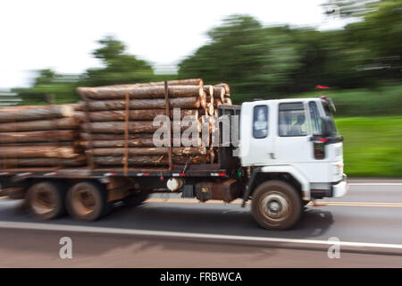 LKW mit der BR-277-Autobahn in der Landschaft anmeldet Stockfoto