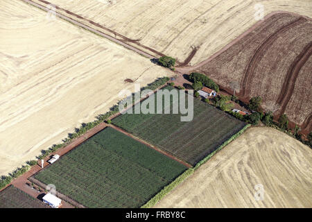Luftaufnahme der Bauernhof mit Gewächshäusern Stockfoto