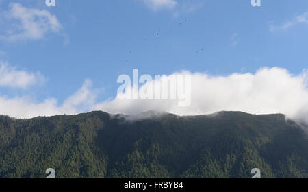 Parque Nacional Caldera de Taburiente in der Nähe von El Paso, La Palma, Kanarische Inseln, Spanien, EU Stockfoto