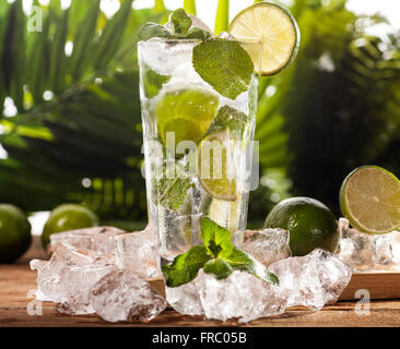 Mojito cocktail auf tropischen Hintergrund Stockfoto