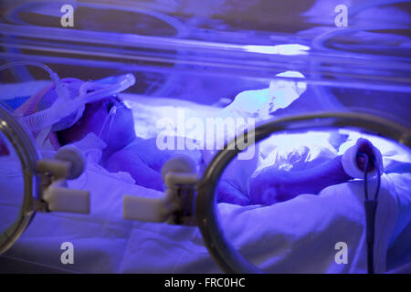 Neonatale Intensivstation des Krankenhauses de Bonsucesso Stadt von Rio De Janeiro Stockfoto