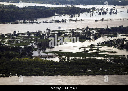 Vista Aérea Rio Amazonas Durante eine Cheia do rio Stockfoto