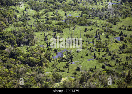 Vista Aérea Rio Amazonas Durante eine Cheia do rio Stockfoto