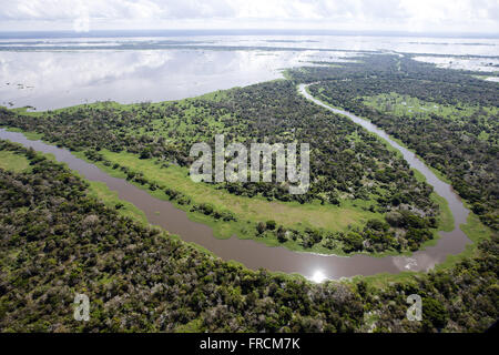 Vista Aérea de Bereiche da Floresta Amazônica Alagadas Durante eine Cheia tun Rio Amazonas Stockfoto