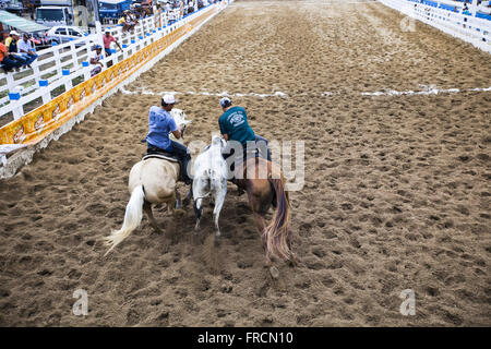 Vaquejada in St. Therese Park Stockfoto