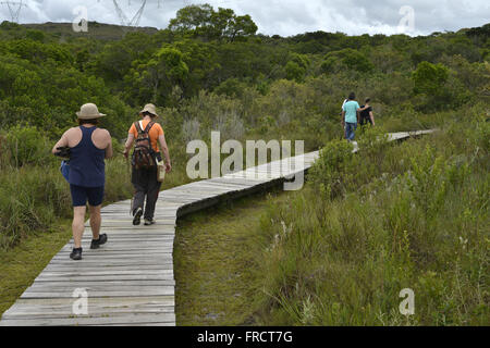 Ökotouristen planmäßig am Holzsteg in Guartelá Staatspark Stockfoto