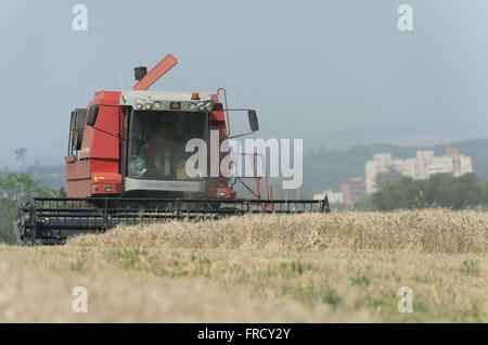 Colheita Mecanizada de trigo Stockfoto