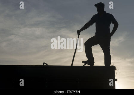 Silhueta de Trabalhador ländlichen Em Carroceria de Caminhão Durante ein Colheita de Trigo Ao Entardecer Stockfoto