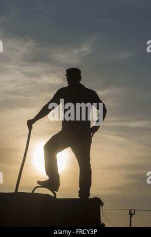 Silhueta de Trabalhador ländlichen Em Carroceria de Caminhão Durante ein Colheita de Trigo Ao Entardecer Stockfoto