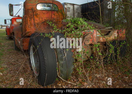 LKW mit Rosten im Feld Reben bewachsen. Stockfoto