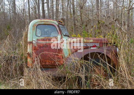 Kabine der antiken Sattelschlepper in Feld mit Blumen Unkraut überwuchert. Stockfoto