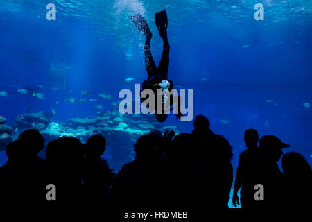 Besucher beobachten ein Taucher Tauchen im Haifischbecken im Coral World Underwater Observatory Aquarium in der Stadt Eilat an der Nordspitze des Roten Meer am Golf von Aqaba. Stockfoto