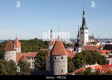 Blick auf die Dächer von Tallinn, der Hauptstadt von Estland Stockfoto