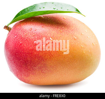 Mango-Frucht mit Wassertropfen. Isoliert auf weißem Hintergrund. Stockfoto