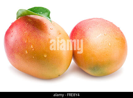 Mango-Früchte mit Wassertropfen. Isoliert auf weißem Hintergrund. Stockfoto
