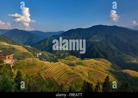 terrassierte Reisfelder von Wengjia Longji Longsheng Hunan China Stockfoto