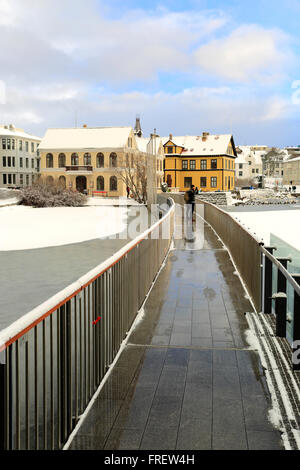 Schwäne und Gänse auf dem zugefrorenen See Tjörnin, Rathaus von Reykjavik. Reykjavik, Island Stockfoto