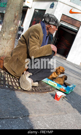 Straße Bettler mit seinen Hunden in Paris Frankreich im Winter Stockfoto