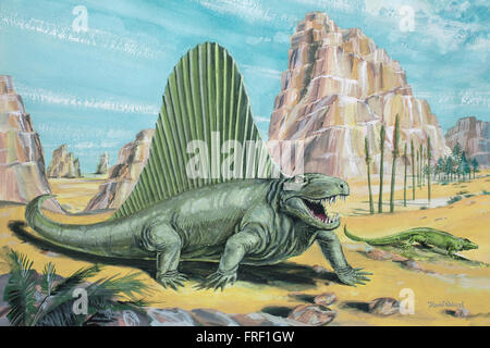 Dimetrodon Stockfoto