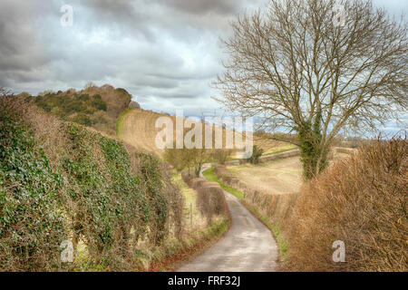 Lane in der Nähe von saunderton. saunderton ist ein Dorf in der Chiltern Hills, Buckinghamshire, England. Stockfoto