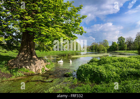 Great Missenden abbey Fischteich. den Fluss misbourne in vollem Fluss nach dem Winter regen füllt die alten Teich im Park. buckinghamshire Stockfoto