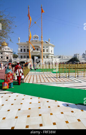 Alltägliche Aktivität auf den goldenen Tempel in Amritsar, Punjab mit Sikh Anhänger gehen auf grüne Teppiche. Stockfoto