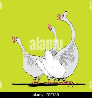 Bauernhof Vogel wild oder im Inland Gans Stock Vektor