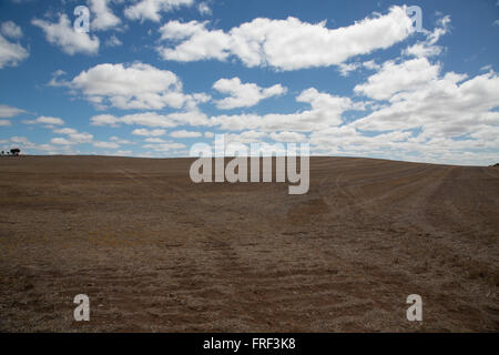 Stoppelfeld unter blauem Himmel mit Cumulus-Wolken, Feld in dem Moment wird von einer Wolke Schatten Stockfoto