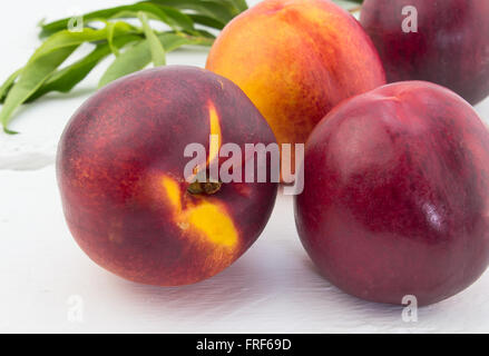 Reife rote und orange Nektarinen auf weißem Holz Hintergrund Stockfoto