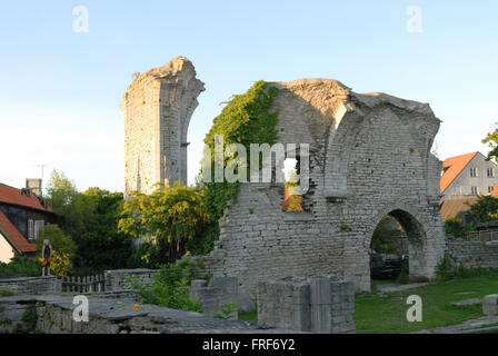 Gotland: Insel der Wikinger.  Gotland ist eine County, Provinz, Gemeinde und Diözese von Schweden; Sie ist Schwedens größte Insel ein Stockfoto