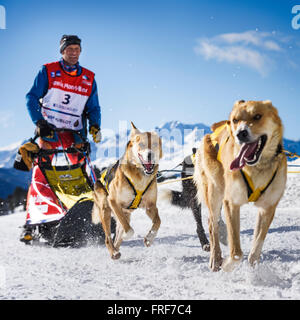 SARDIERES VANOISE, Frankreich - 20. Januar 2016 - GRANDE ODYSSEE das härteste Rennen der Musher in Savoie Mont-Blanc, Daniel JUILLAGUE Stockfoto