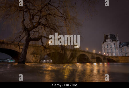 Brücken von Paris - 02.04.2013--Hochwasser der Seine Winter 2013, Füße im Wasser einer überfluteten Trauerweide der b Stockfoto