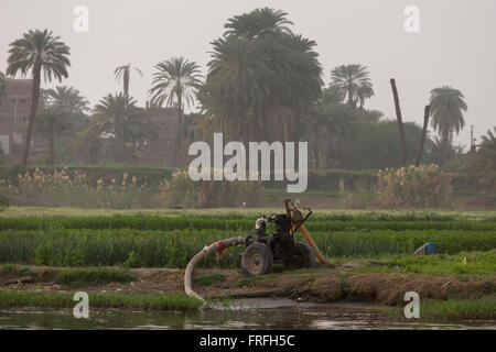 Wasser aus dem Nil und in nahe gelegenen fruchtbaren Feldern, wo reiche Ernten auf der Westbank von Luxor, Nil Senke, Ägypten wachsen, gepumpt wird. Stockfoto