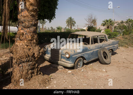 Ein verlassenes Mercedes W110 Auto unter einer Palme im Dorf Bairat auf der Westbank von Luxor, Nil Senke, Ägypten. Stockfoto