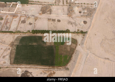 Eine Antenne Landschaft, blickte von einem Heißluftballon auf fruchtbaren Äckern in einem Dorf der West Bank von der modernen Stadt von Luxor, Nil Senke, Ägypten. Stockfoto