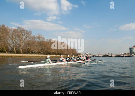 London, UK. 22. März 2016.    Stephen Bartholomäus/Stephen Bartholomäus Fotografie.  Tideway Woche Media Ausflug.  CUWBC Ashton braun [Bow], Fiona Nacklin, Alice Jackson, Thea Zabell, Daphne Martschenko, Zara Goozee, Hannah Roberts, Myriam Goudet, Rosemary Ostfeld [Cox] nähern Putney Bridge. Bildnachweis: Stephen Bartholomäus/Alamy Live-Nachrichten Stockfoto