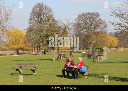 Bushy Park, London, UK. 22. März 2016. Es war ein warmer 14 ° c, mit blauem Himmel und Sonnenschein, wie diese beiden Damen ein Picknick im Bushy Park, London, UK genießen. Bildnachweis: Julia Gavin UK/Alamy Live-Nachrichten Stockfoto