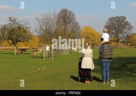 Bushy Park, London, UK. 22. März 2016. Es war eine warme 14 ° c, mit blauem Himmel und Sonnenschein, wie diese Familie das Reh in Bushy Park, London, UK sah. Bildnachweis: Julia Gavin UK/Alamy Live-Nachrichten Stockfoto