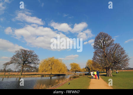 Bushy Park, London, UK. 22. März 2016. Es war ein schöner Frühlingstag in Bushy Park, London, wie die Menschen neben dem Teich Heron Spaziergängen ein. Bildnachweis: Julia Gavin UK/Alamy Live-Nachrichten Stockfoto