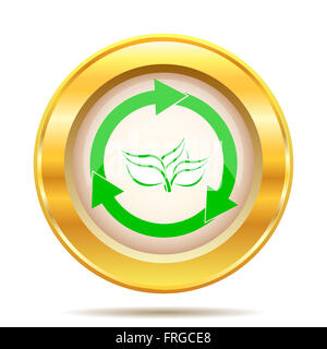 Runde glänzende Symbol mit grün-weißen Design auf Goldgrund Stockfoto