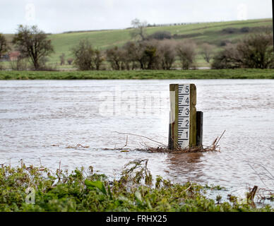 Fluss Level Marker-Messgerät für die Messung. Pegelstände der Flüsse hoch Stockfoto