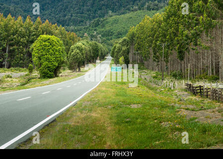 Straße bei Reserva Nacional LLanquihue, Chile Stockfoto