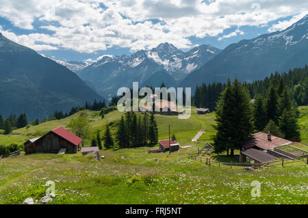 Wiesen und Gebäude eines saisonalen Berges Weide in den Schweizer Alpen. Arni, Gurtnellen, Kanton Uri, Schweiz. Stockfoto