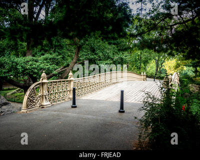 Kiefer-Bank gusseiserne Bogenbrücke, Central Park West Side 62nd Street. USA Stockfoto